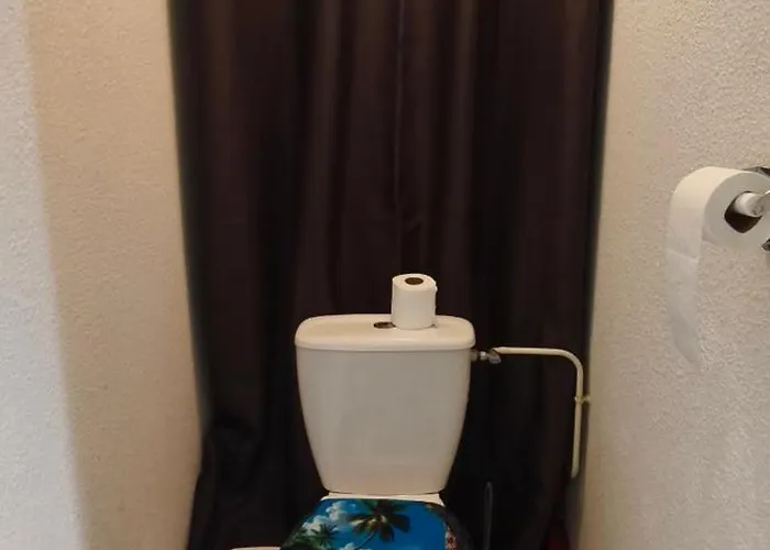 T2 * Luz-Saint-Sauveur